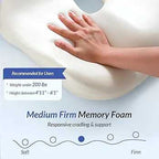 Pioneering Ergonomic Seat Cushions